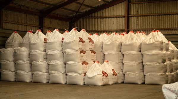 Many large white bags full of seeds are stacked together in a large warehouse.